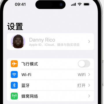 后安镇appleID维修服务iPhone设置中Apple ID显示为灰色无法使用 