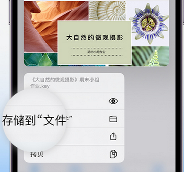 后安镇apple维修中心分享iPhone文件应用中存储和找到下载文件