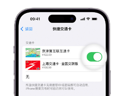 后安镇apple维修点分享iPhone上更换Apple Pay快捷交通卡手绘卡面 