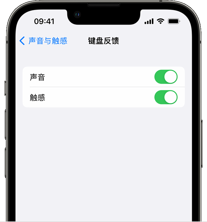 后安镇苹果14维修店分享如何在 iPhone 14 机型中使用触感键盘 