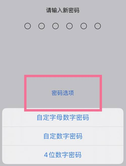 后安镇苹果14维修分享iPhone 14plus设置密码的方法 