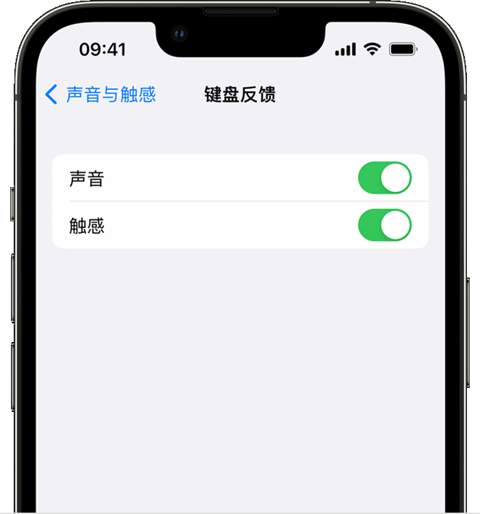 后安镇苹果14维修分享iPhone 14 系列机型如何开启键盘声音或触感反馈 