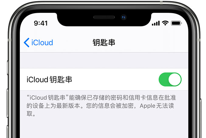 后安镇苹果手机维修分享在 iPhone 上开启 iCloud 钥匙串之后会储存哪些信息 