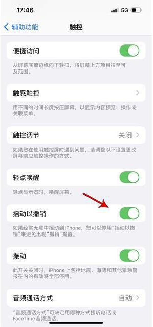 后安镇苹果手机维修分享iPhone手机如何设置摇一摇删除文字 