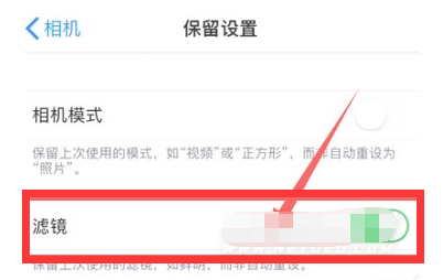 后安镇苹果13维修分享iPhone13拍照有绿点是怎么回事 
