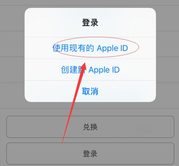 后安镇苹果手机维修分享两台iPhone设备可以同时登录一个Apple ID吗 