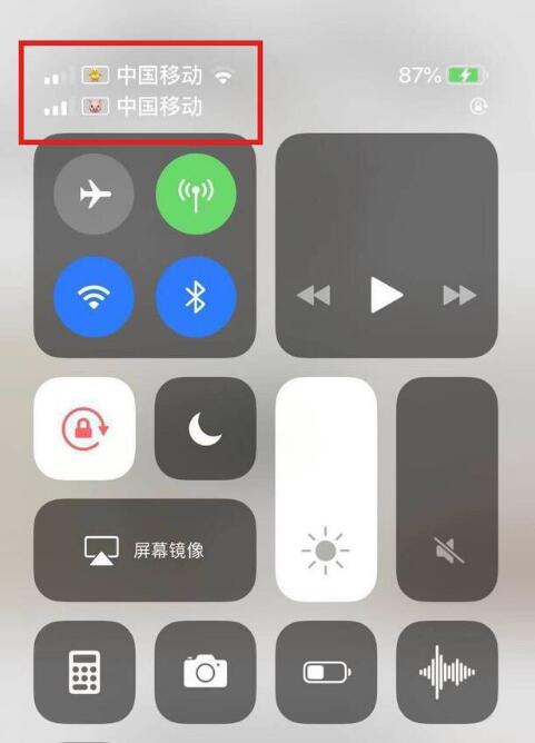 后安镇苹果手机维修分享为 iPhone 12 双卡设置标签 